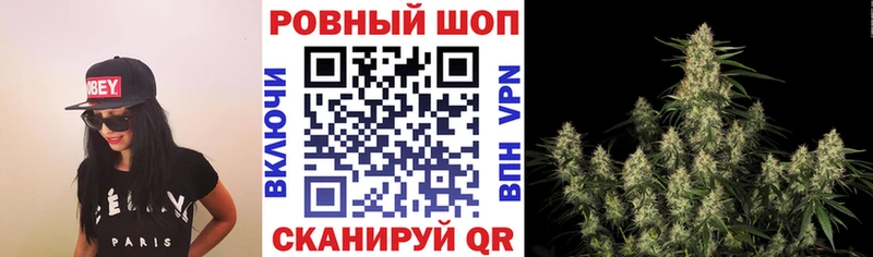 Где купить Шенкурск Cocaine АМФЕТАМИН МЕФ Alpha PVP КЕТАМИН Марихуана Гашиш