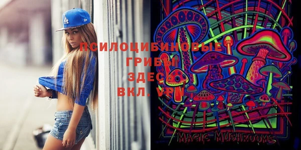 меф Алексин