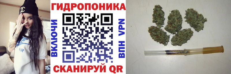 Канабис Ganja  Шенкурск 